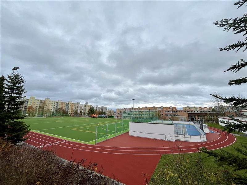 Rekonstrukce sportovního areálu ZŠ, ul. Kralovická, Plzeň - Gespecialiseerde competenties