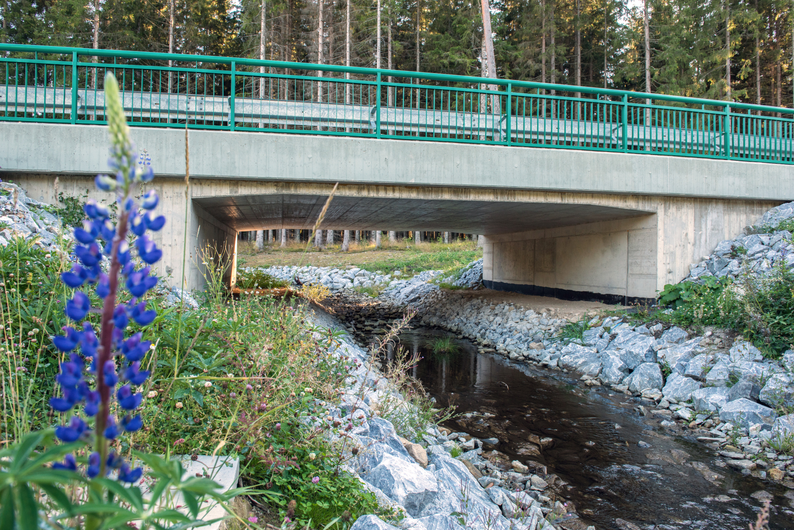 Zadní Zvonková – modernizace přístupu k hraničnímu přechodu CZ/AT - Wegen- en bruggenbouw