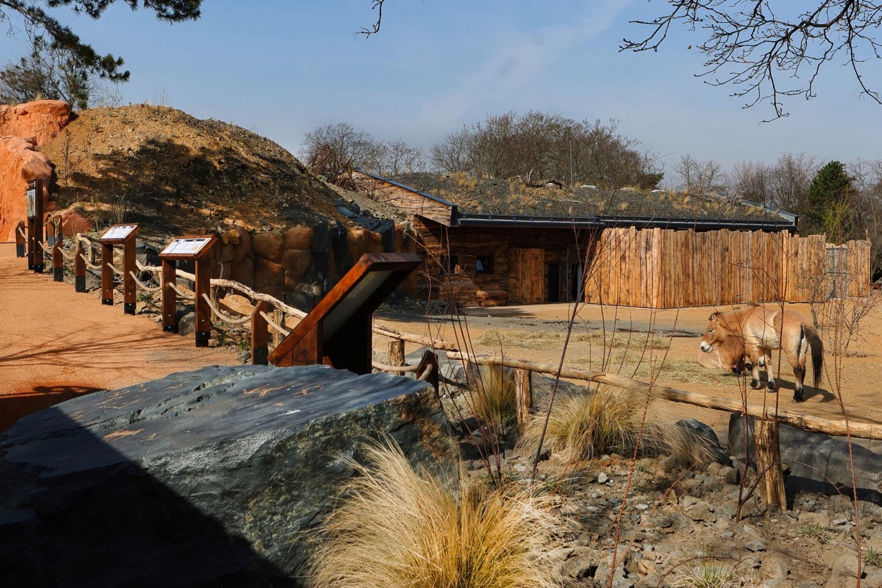 Zoo Praha – výběhy a stáje koní Převalského, pavilon drobných savců a plazů, voliéry manula - Bouw