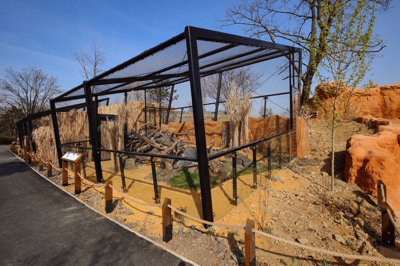 Zoo Praha – výběhy a stáje koní Převalského, pavilon drobných savců a plazů, voliéry manula - Bouw