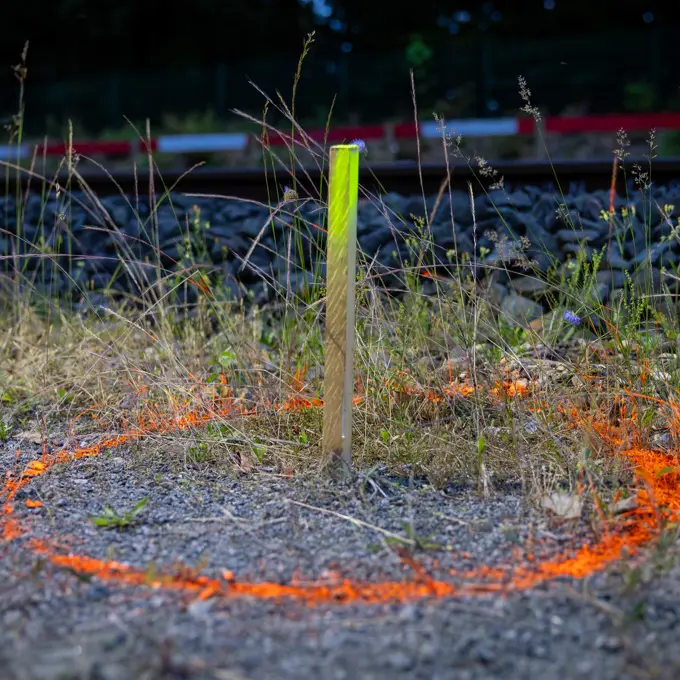 Mook (4C9A4783 Verbeterd NR)