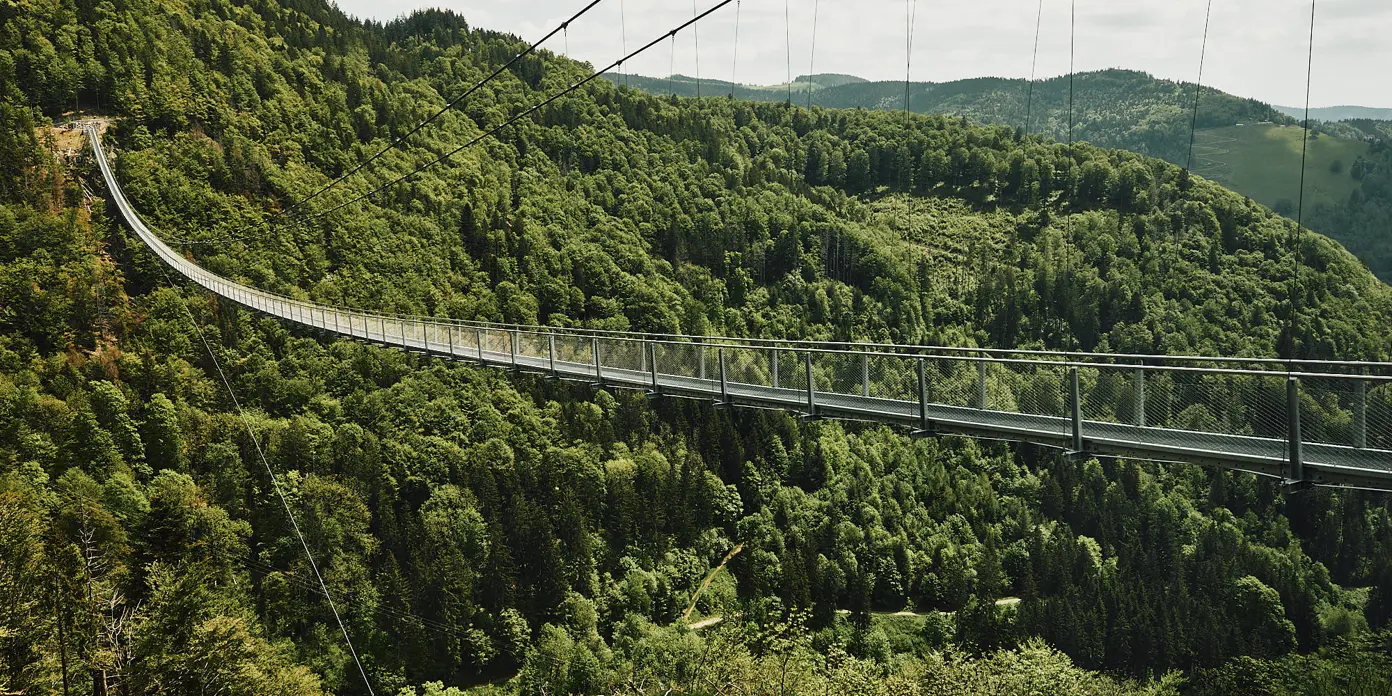 250325 AT Sustainability (C)SWIETELSKY (2)