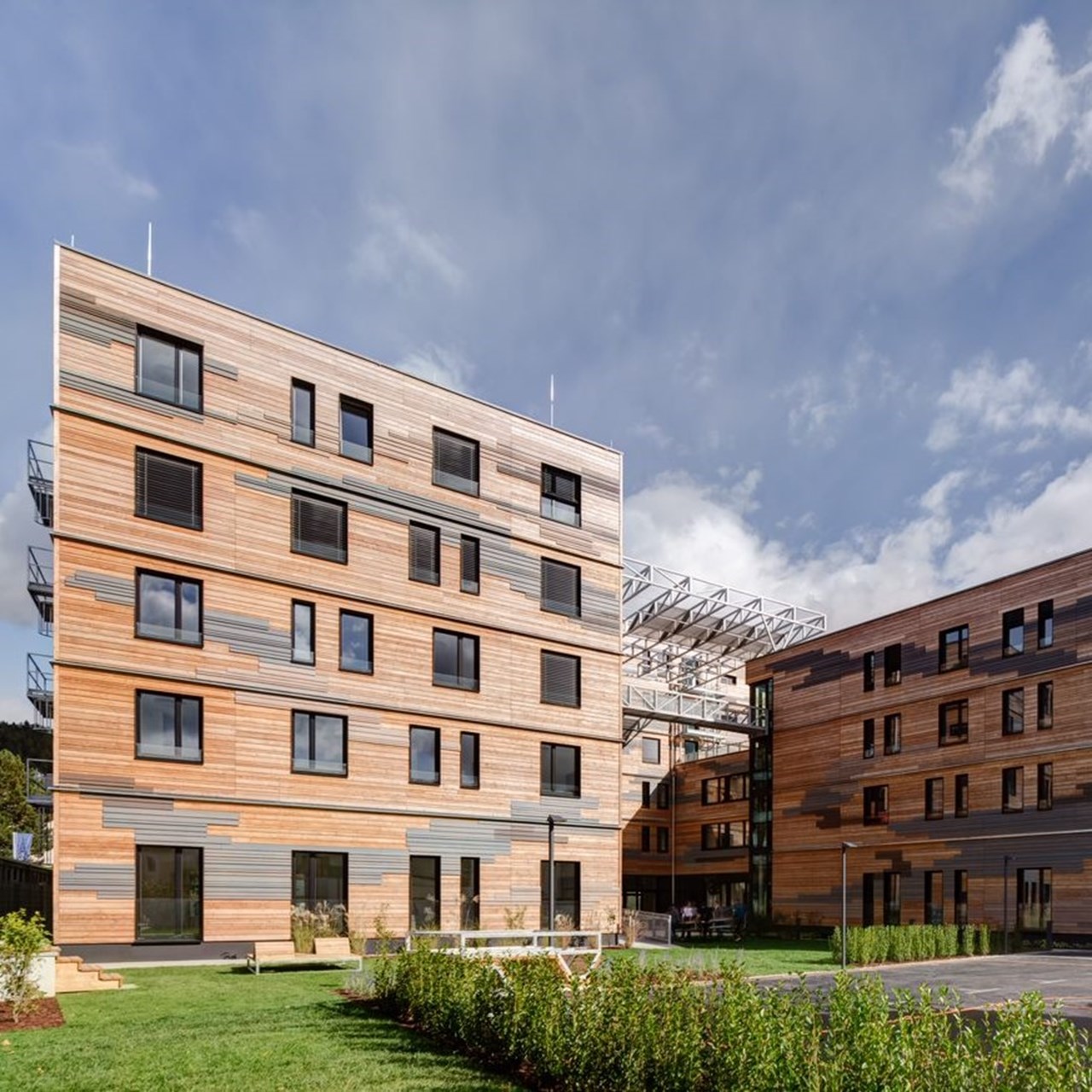 Gespecialiseerde competenties Gespecialiseerde competenties